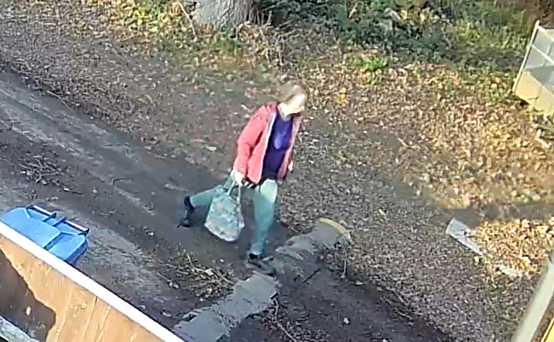 CCTV footage of Christine Murton's last known movements